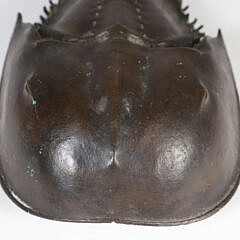 Patina Bronze Horseshoe Crab