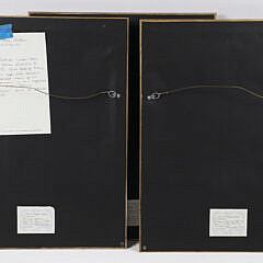 Set of Three Niccolo Gueltieri (Italy 1688-1744) Shell Prints