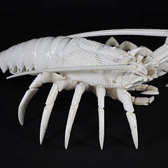 Albino Carved Bone Articulated Lobster