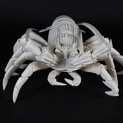 Albino Carved Bone Articulated Lobster