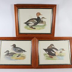 Set of Three Antique Framed Lithographs of Ducks
