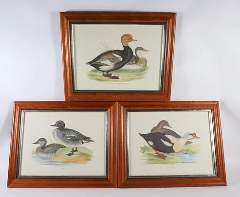 Set of Three Antique Framed Lithographs of Ducks