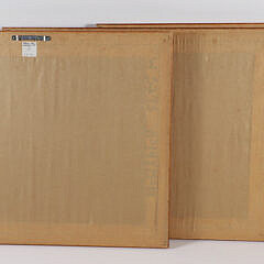 Set of Three Antique Framed Lithographs of Ducks