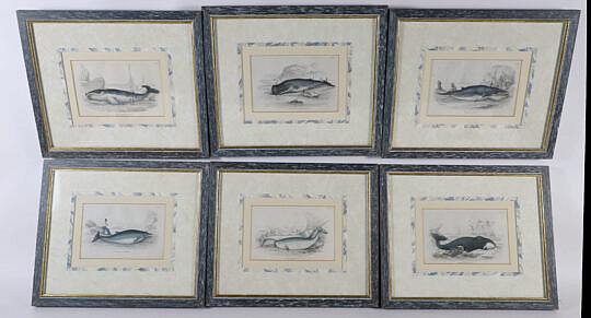 Set of Six Antique Whale Prints