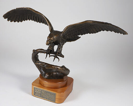 Patina Bronze Clad Sculpture of Flying Eagle Landing on Tree Branch