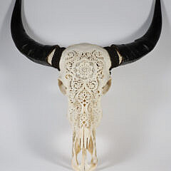 Elaborately Carved Water Buffalo Scull with Horns