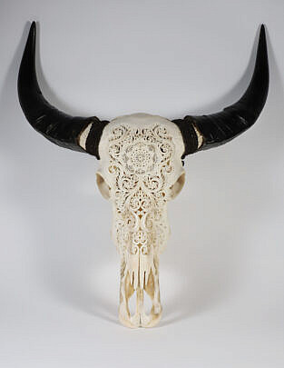Elaborately Carved Water Buffalo Scull with Horns