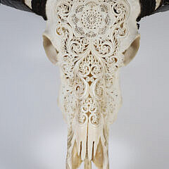 Elaborately Carved Water Buffalo Scull with Horns