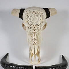 Elaborately Carved Water Buffalo Scull with Horns