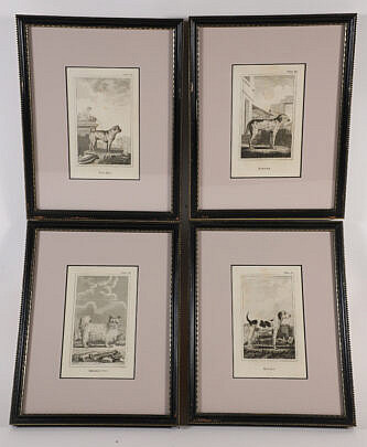 Group of Four Engravings of Dogs