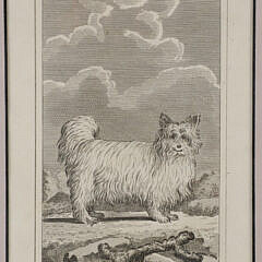 Group of Four Engravings of Dogs