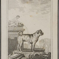 Group of Four Engravings of Dogs