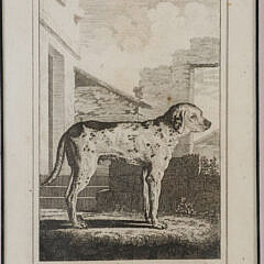 Group of Four Engravings of Dogs