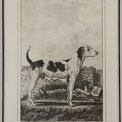 Group of Four Engravings of Dogs