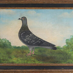 Antique English Oil on Canvas "Portrait of a Racing Pigeon"