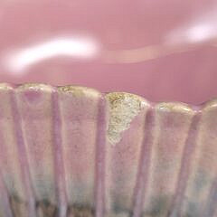 Vintage Majolica Scallop Shell Bowl