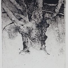 Barry Moser Limited Edition Etching "Tree", Ed. #14/50