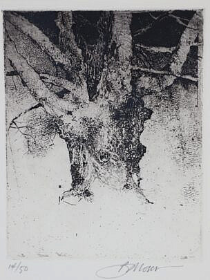 Barry Moser Limited Edition Etching "Tree", Ed. #14/50