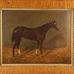 Alfred Grenfell Haigh Oil on Canvas "Dark Bay Horse"