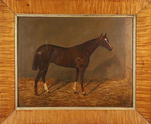 Alfred Grenfell Haigh Oil on Canvas "Dark Bay Horse"