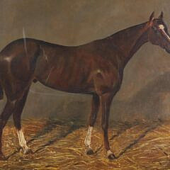 Alfred Grenfell Haigh Oil on Canvas “Dark Boy Horse”
