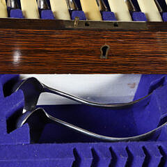 Sheffield Ivorine-Handled Stainless Steel Flatware in the Old English Pattern by Viner’s LTD