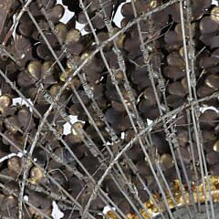 Suntiang Wedding Headress Crown, Sumatra