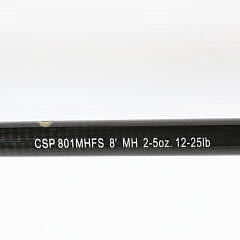 Daiwa Coastal SP Surf CSP801MHFS Fishing Rod